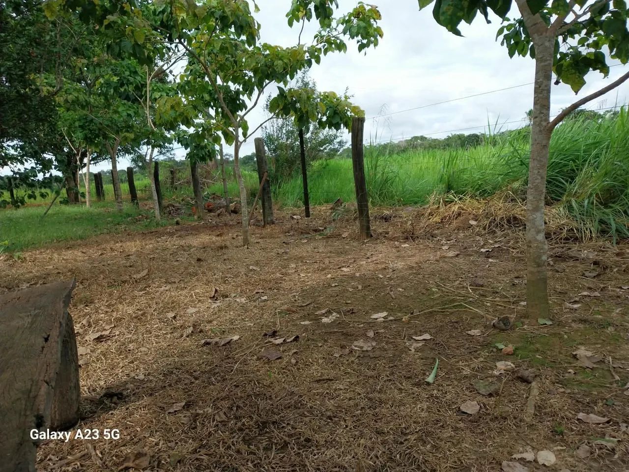 Vende-se  - Foto 5
