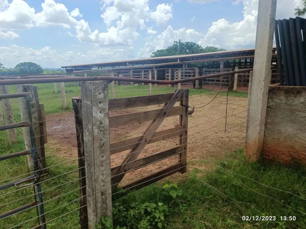 Vendo fazenda 158 km de Uberaba - Foto 5
