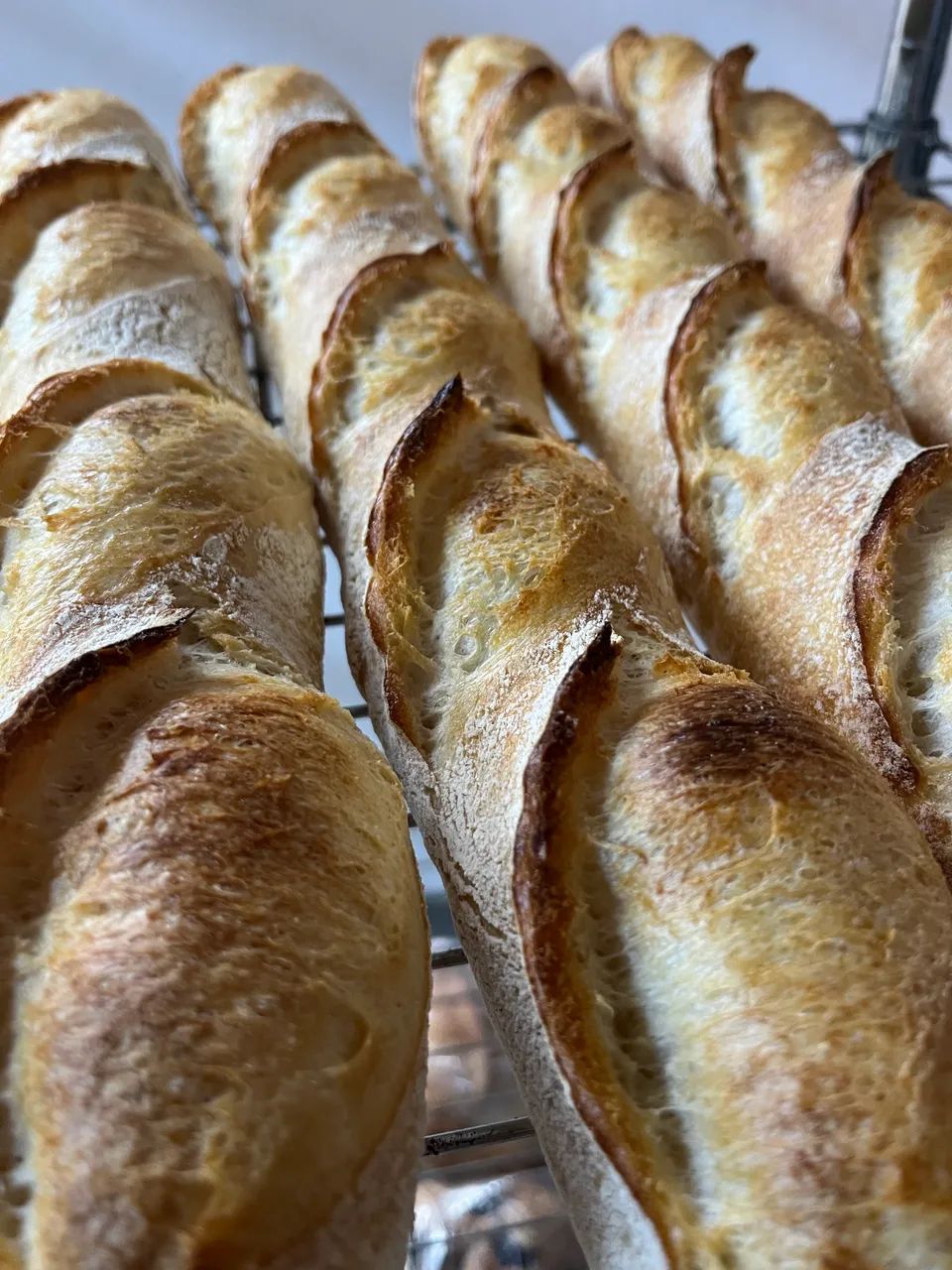 Forno Prática com Vapor - Foto 4