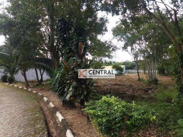 Terreno à venda, 4500 m² por R$ 980.000,00 - Portão - Lauro de Freitas/BA - Foto 3