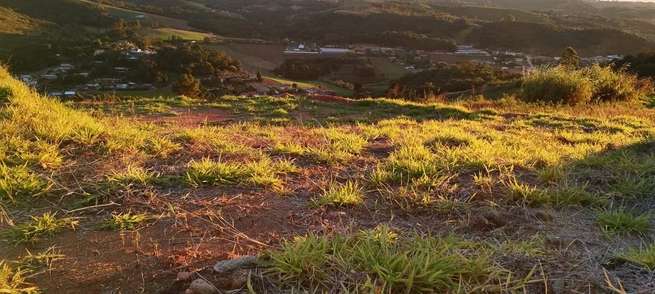 Terreno de 2 mil metros com linda vista - Foto 5