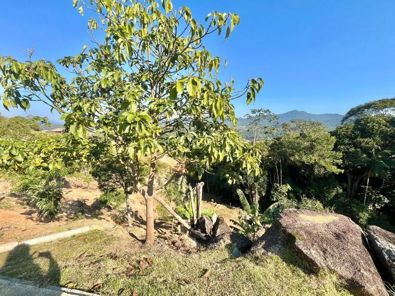 Sítio com 1 dormitório à venda, 4906 m² - Pagará - Santo Amaro da Imperatriz/SC - Foto 2
