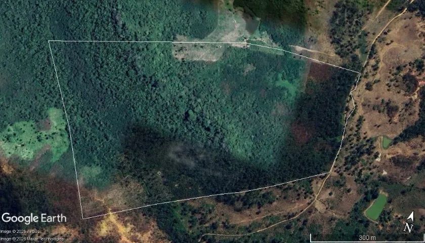 Fazenda 30 ha - Foto 4