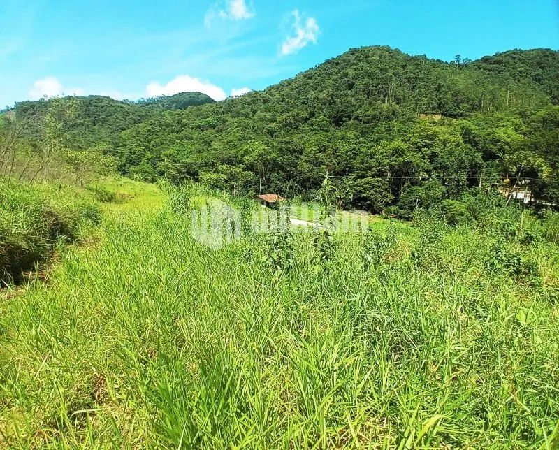 LINDO TERRENO PARA SÍTIO EM BOTUVERÁ - Foto 3