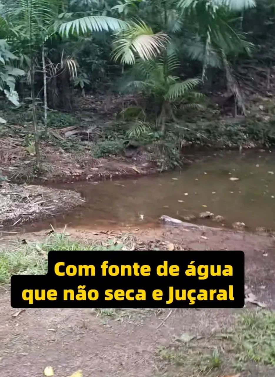 Sítio Em Rosário-MA a 600m da BR 402 - Foto 4