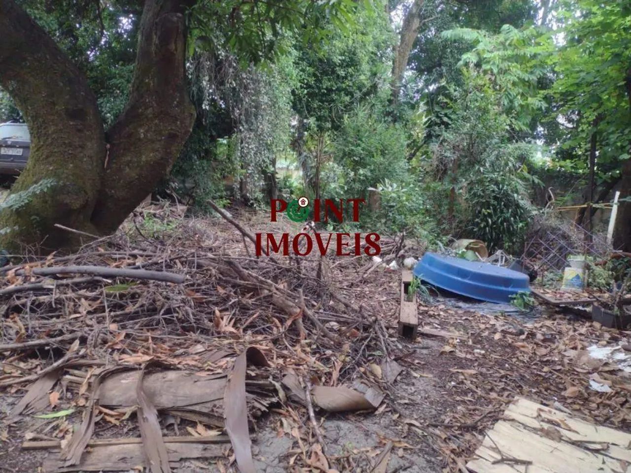 Lote / Terreno - Bairro Palmeiras - Foto 3