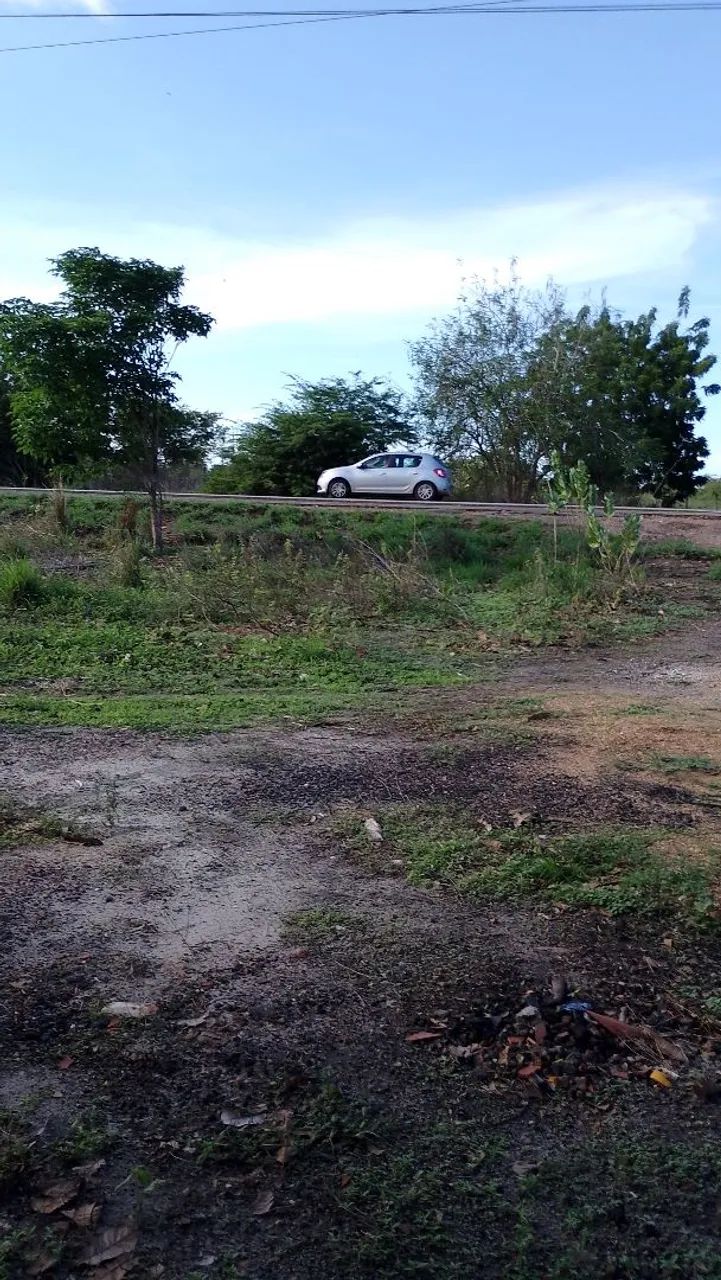 Vendo sítio  - Foto 4