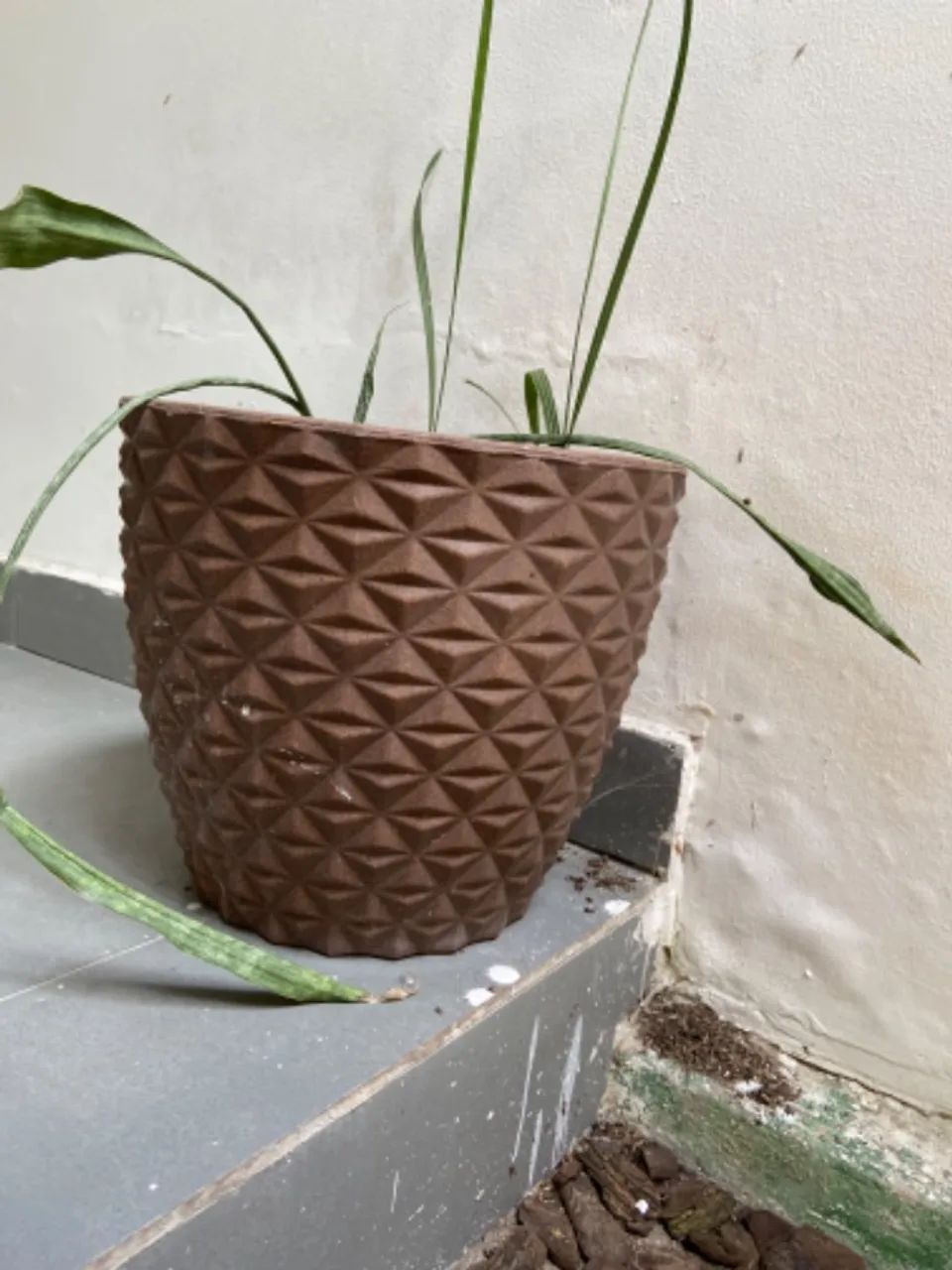 Vaso 
