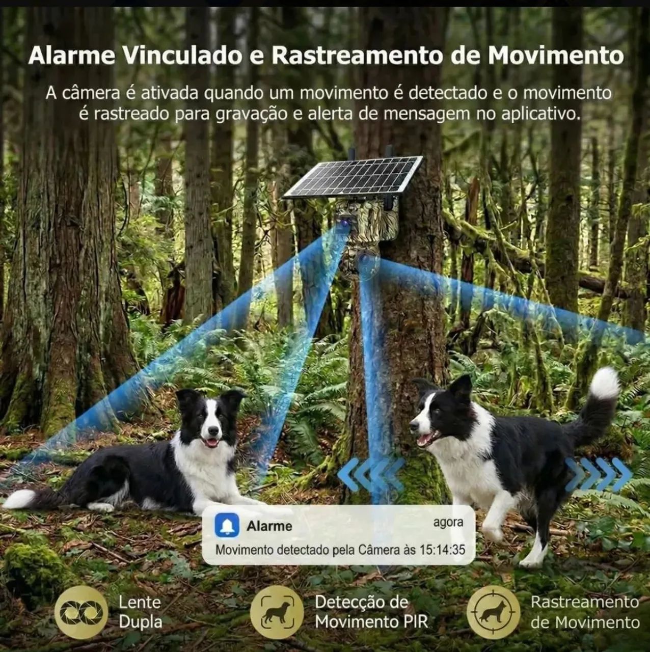 Câmera solar 4g  - Foto 3