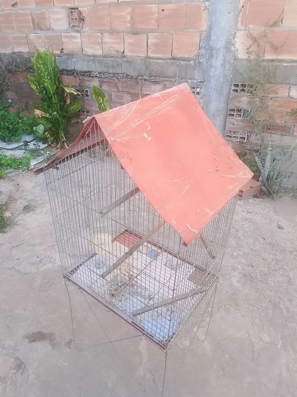 Gaiola - Foto 5