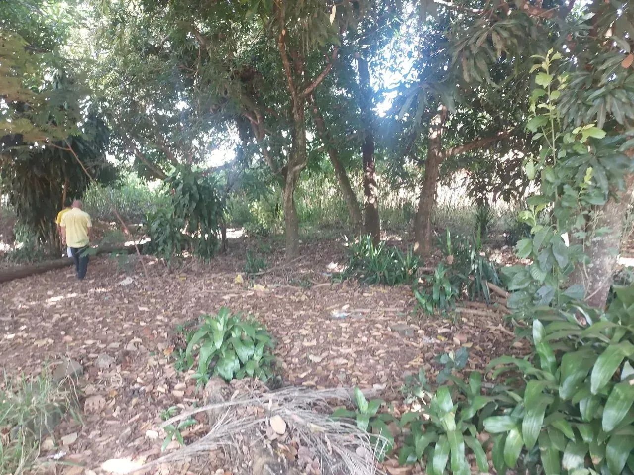 vendo lote vazio próximo ao CIOPS Santo Antônio Descoberto - Foto 2