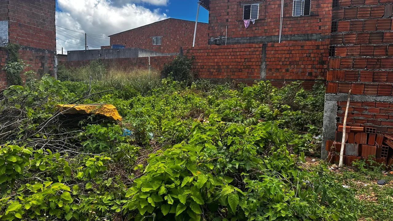 Terreno 9x20 na Paupina - Foto 4