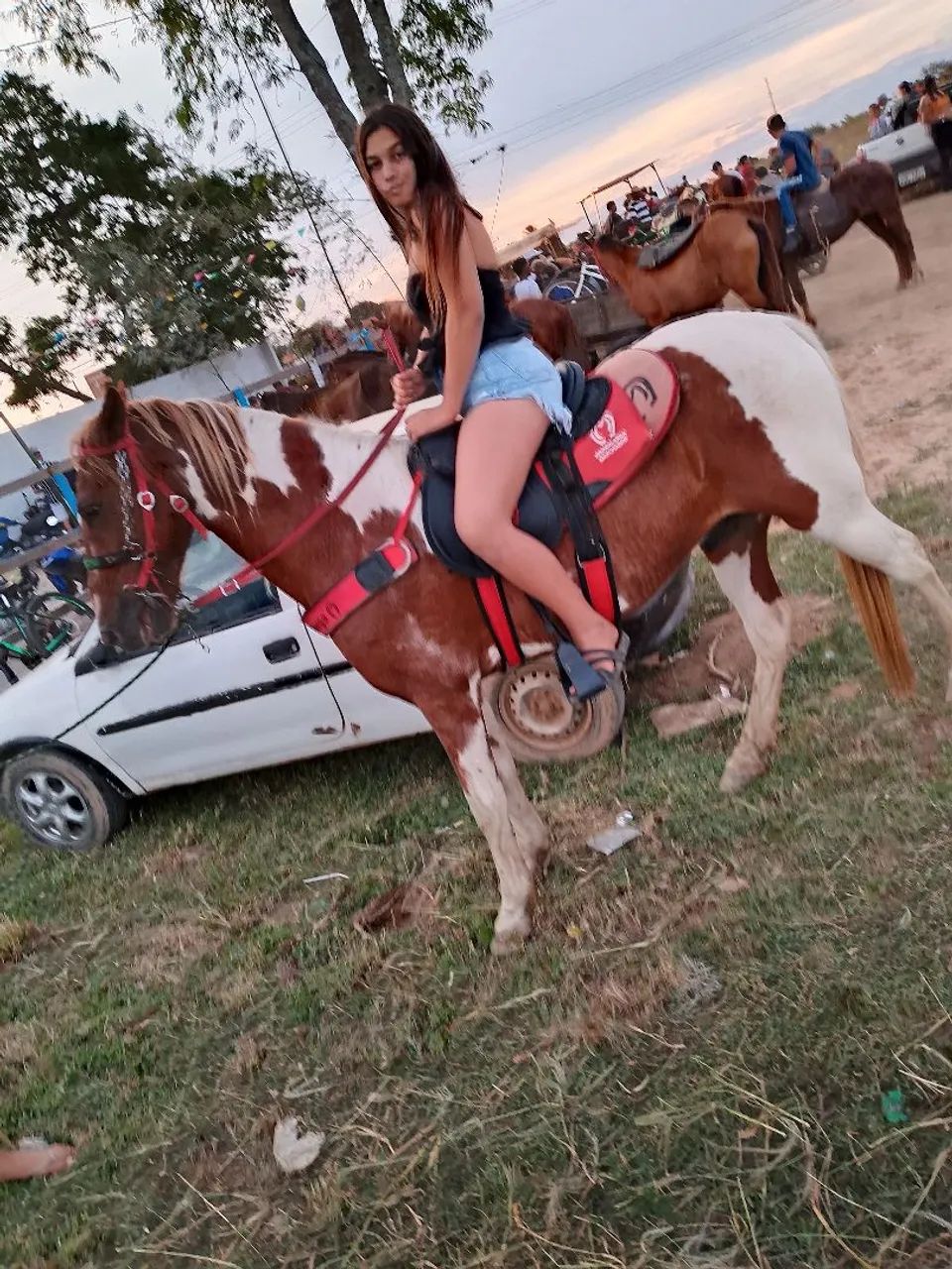 Cavalo  - Foto 3