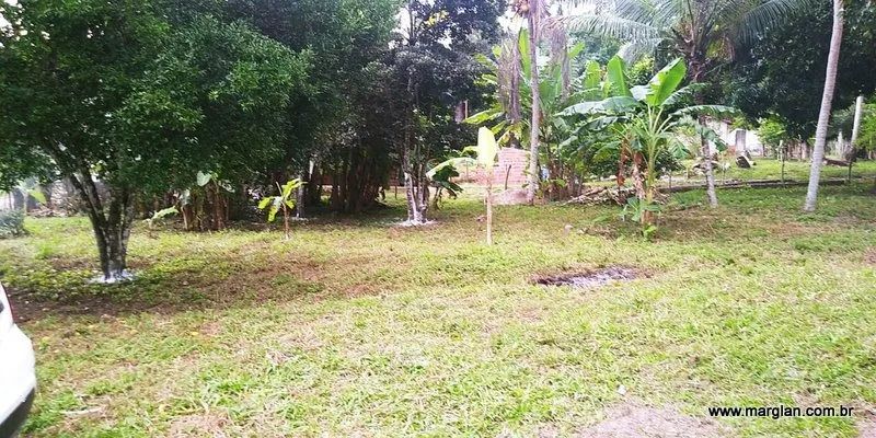 Terreno com 14 tarefas e meia, incluindo casa, área de mata e brejo