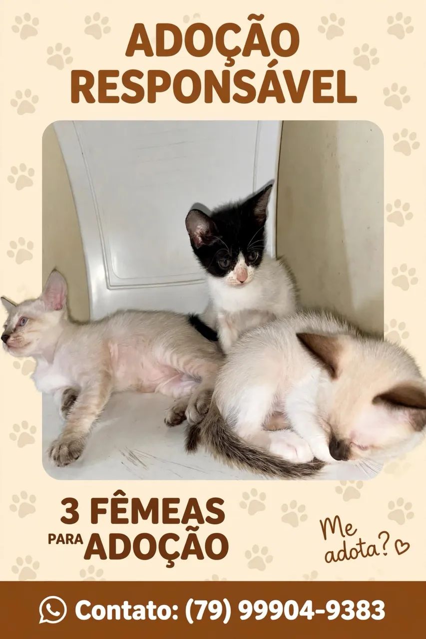 Doação  - Foto 2
