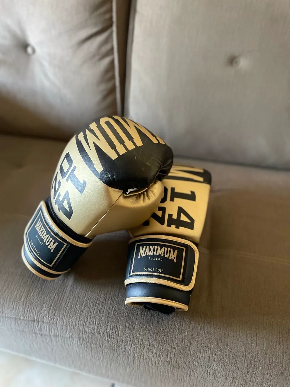 Luva de boxe e muay thai - Maximum 14oz