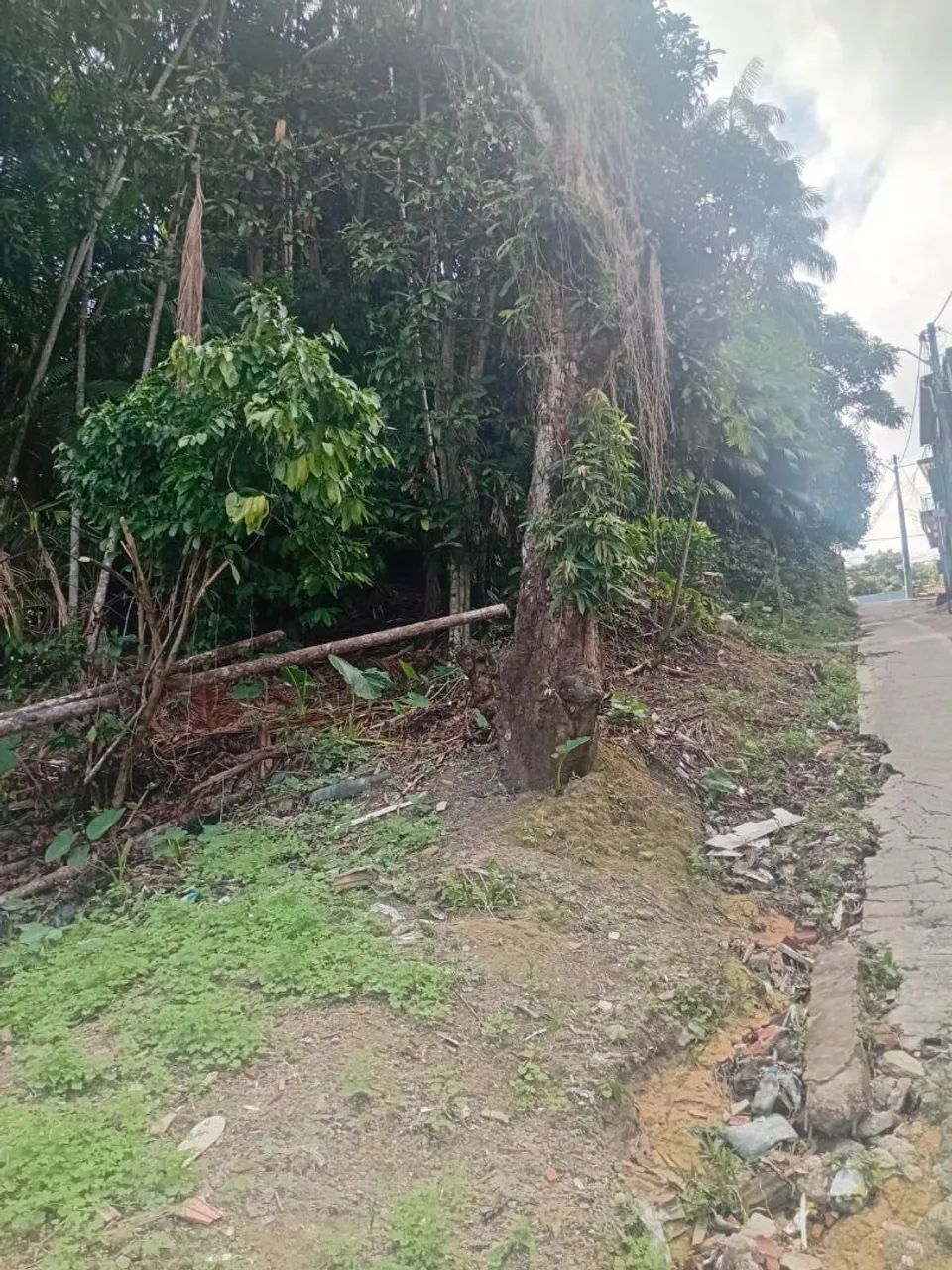 Terreno  - Foto 3
