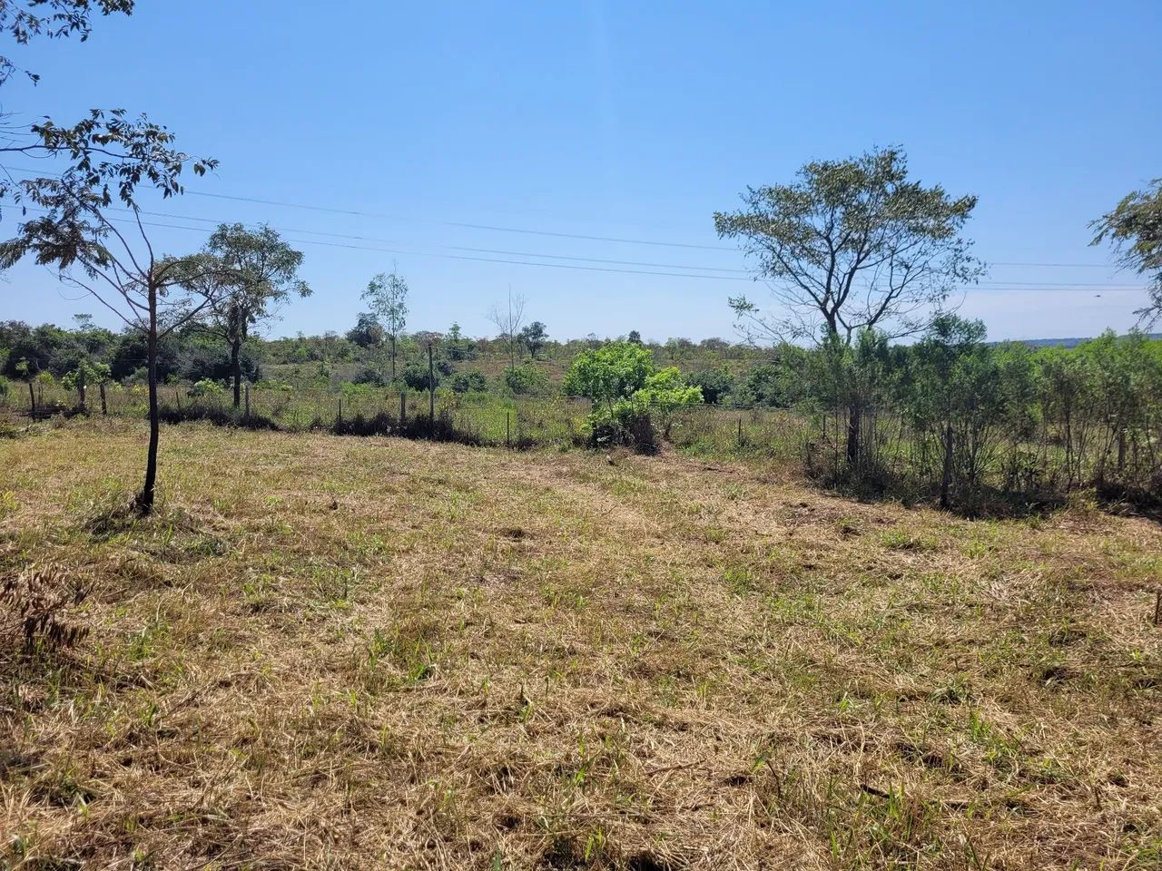 Chacara saida pra tres lagoas  - Foto 4