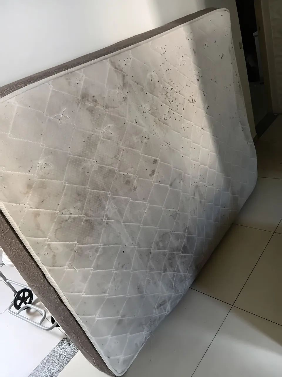 CAMA  - Foto 4
