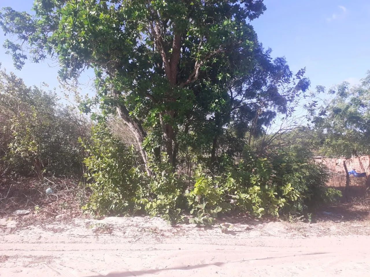 Vende se terreno próximo a Cascavel  - Foto 4