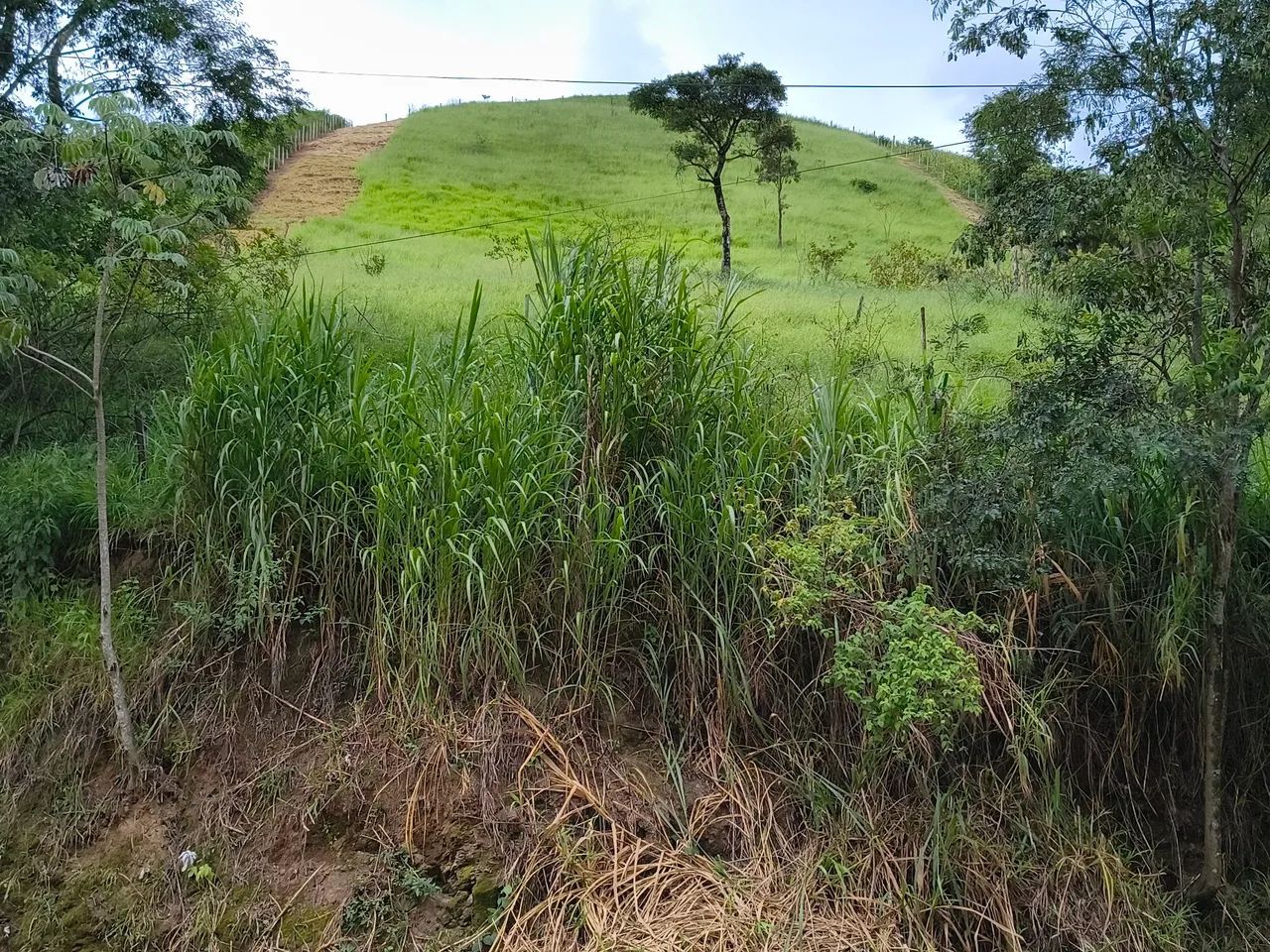 Oportunidade ! Venda                                                                       - Foto 2