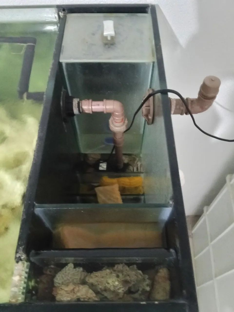 Aquário marinho 