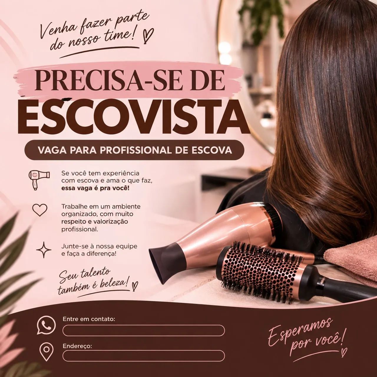 Escovista 