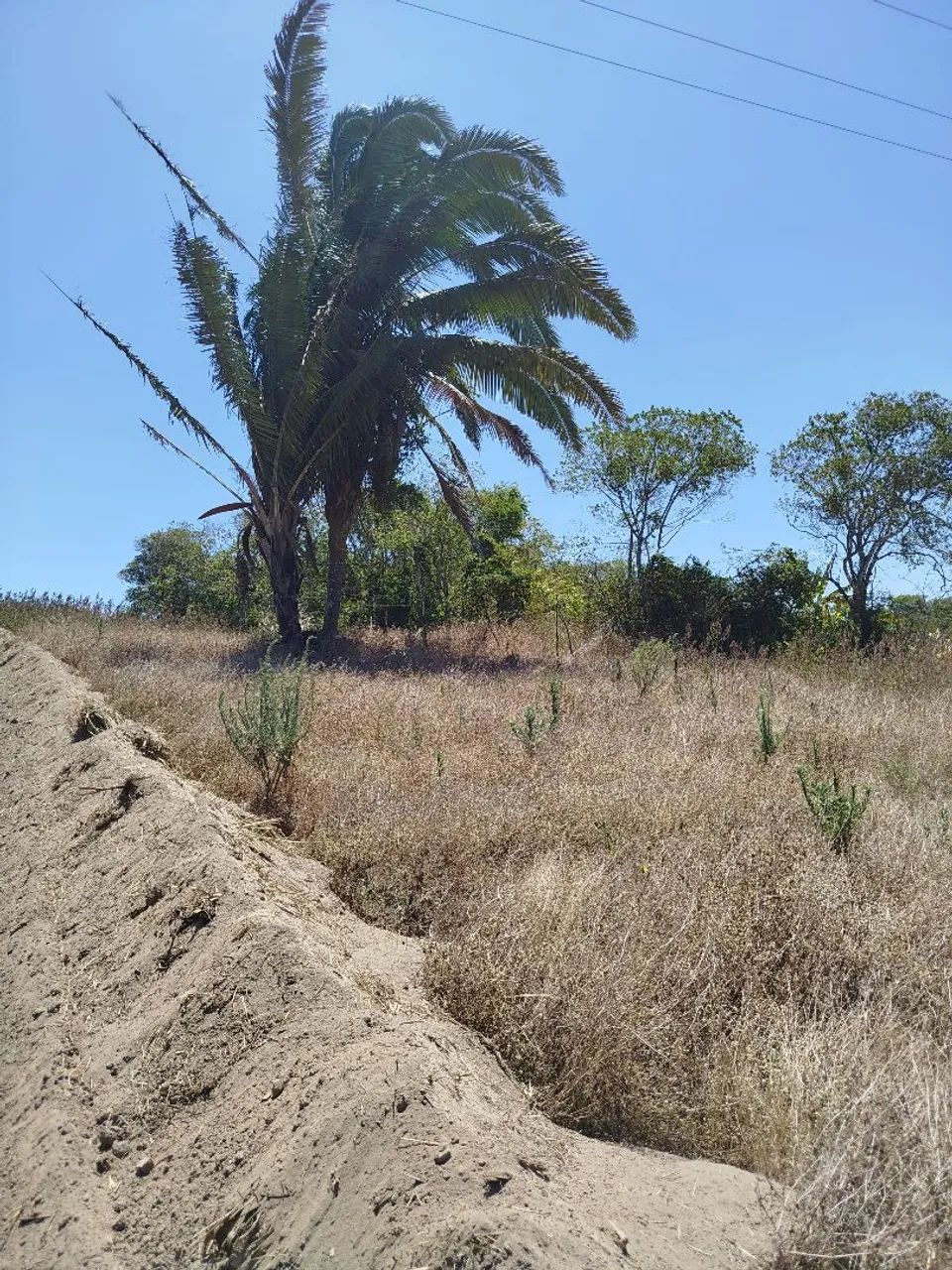 Terreno a venda  - Foto 2