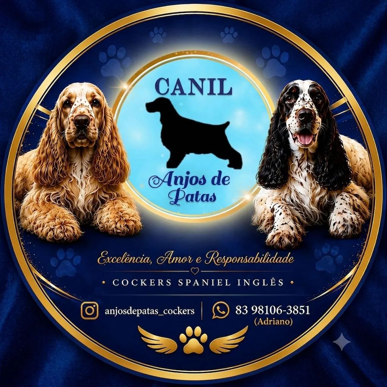 Cocker p/ reserva 