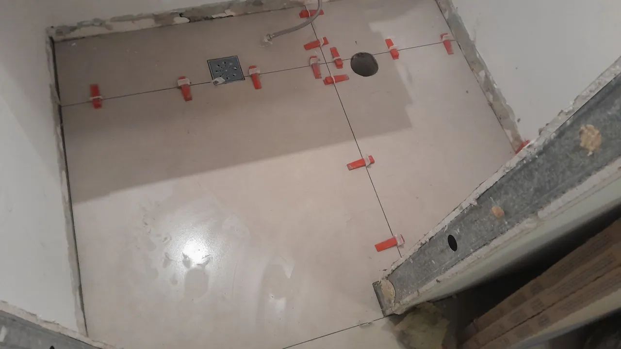 Azulejista  - Foto 2
