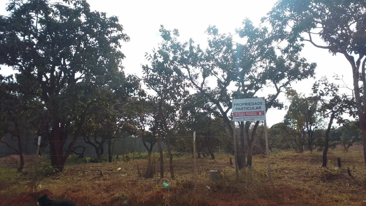 Vendo lote 1000m  - Foto 2