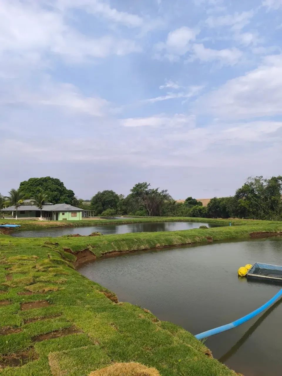 Fazenda Piracanjuba