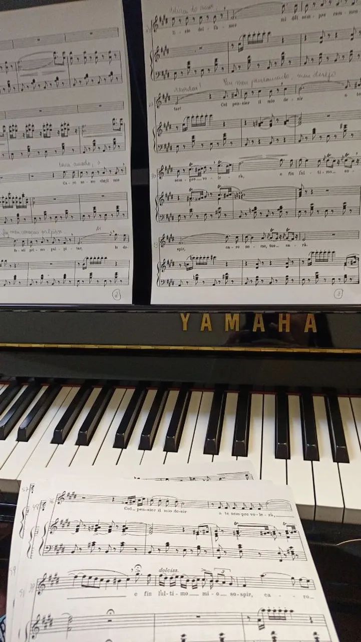 Aulas de canto - popular e ópera - online ou presencial  - Foto 4