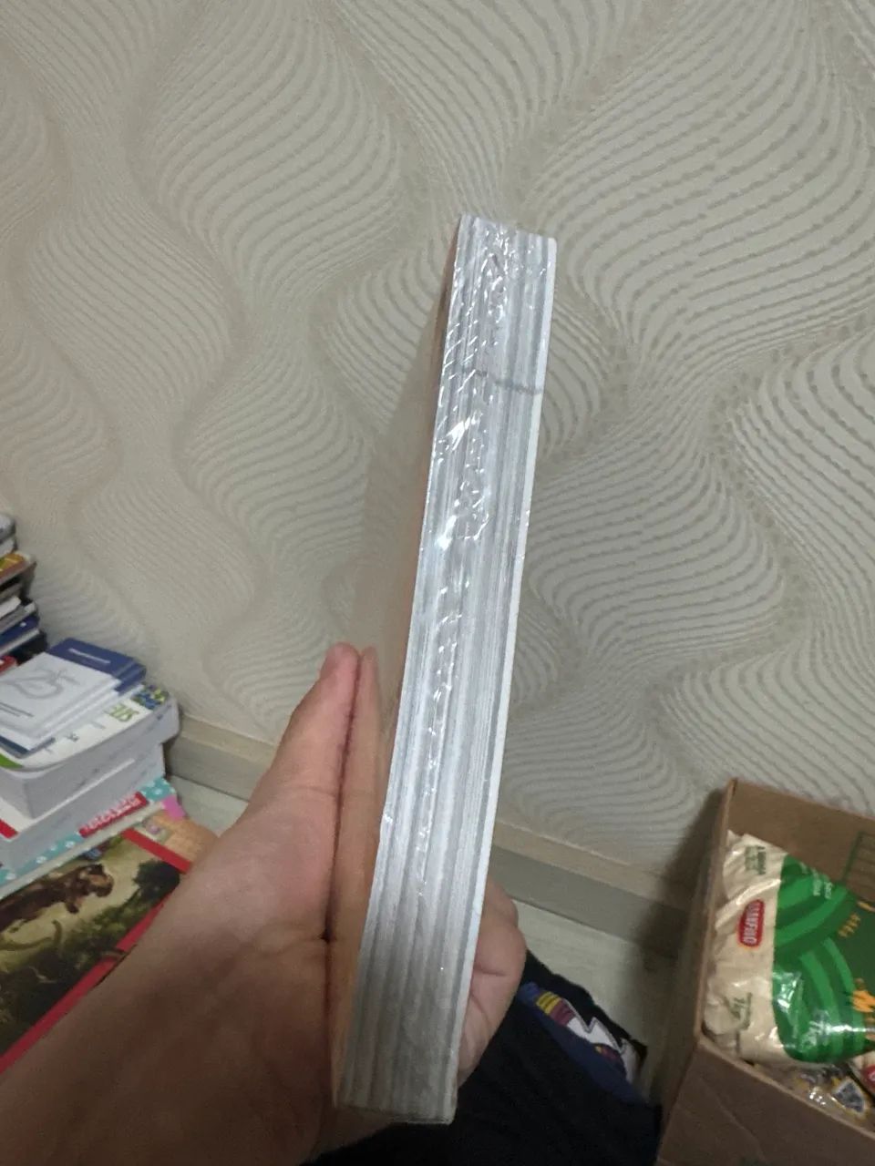 Livro  - Foto 2