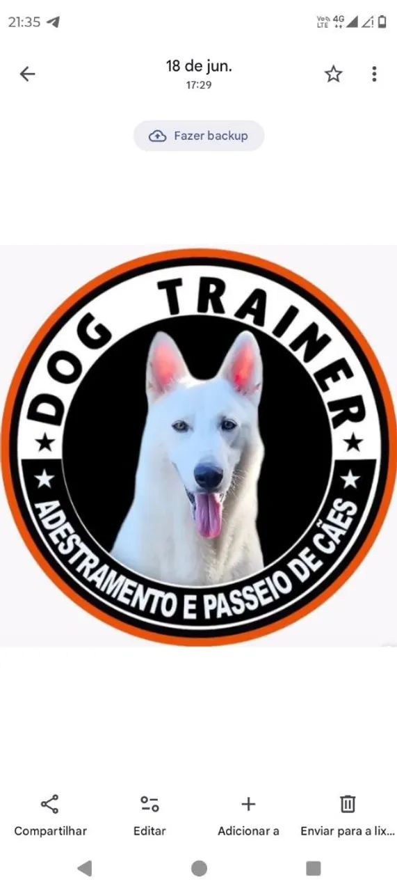 Adestrador de cães  - Foto 4