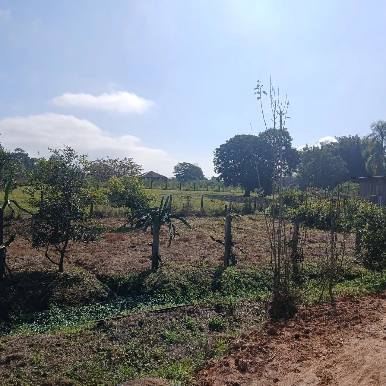 Terreno em Araquari SC centro  - Foto 5