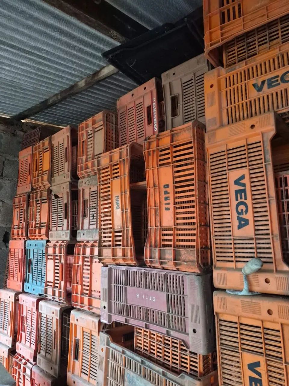 Vendo caixa de frutas 