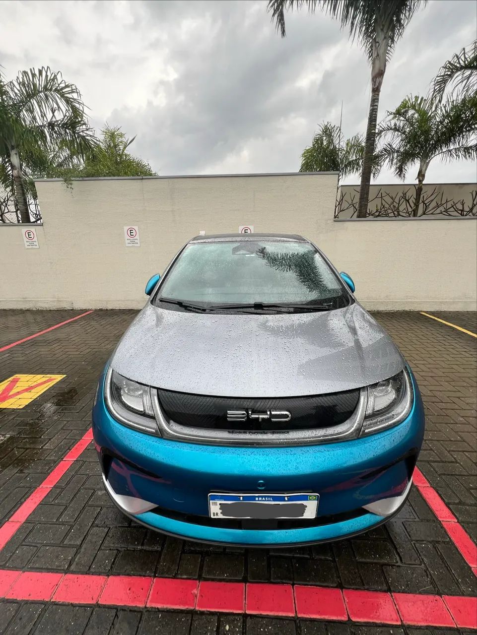 BYD Dolphin Plus (Elétrico) 2025 - Foto 4