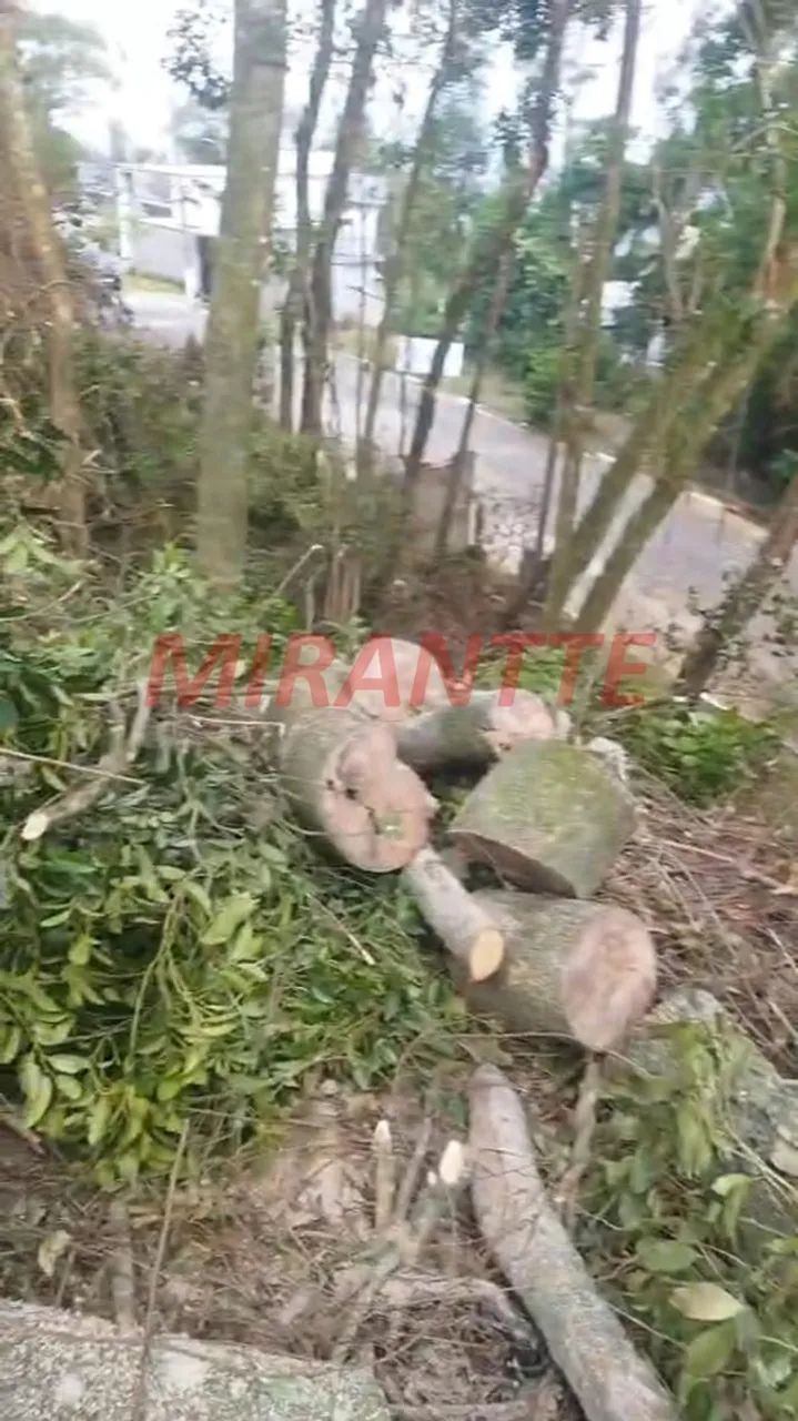 Terreno em SANTA INÊS - Foto 4