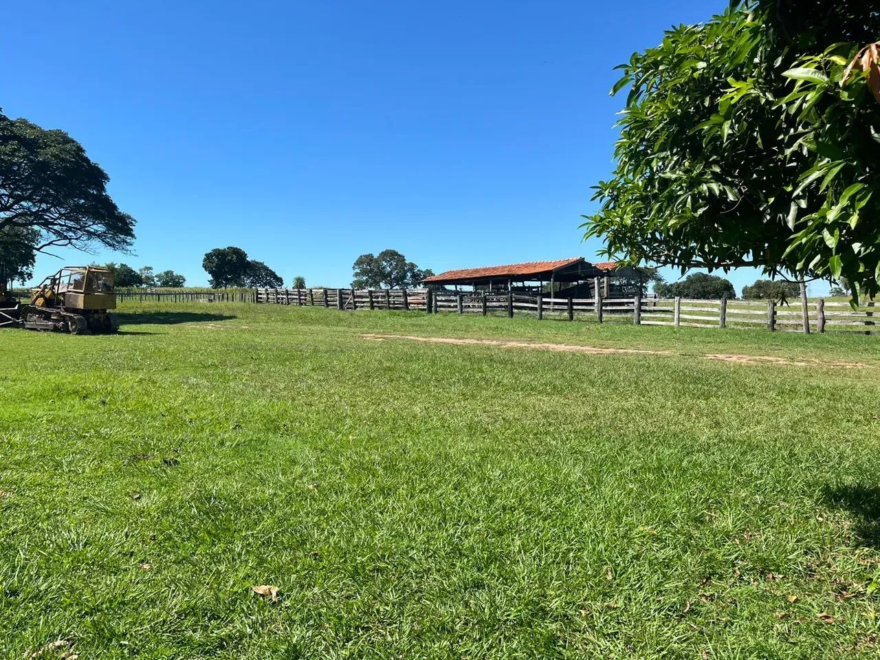 Fazenda 475 HA- Anastácio- MS - Cria, Re-cria e Engorda - Foto 3