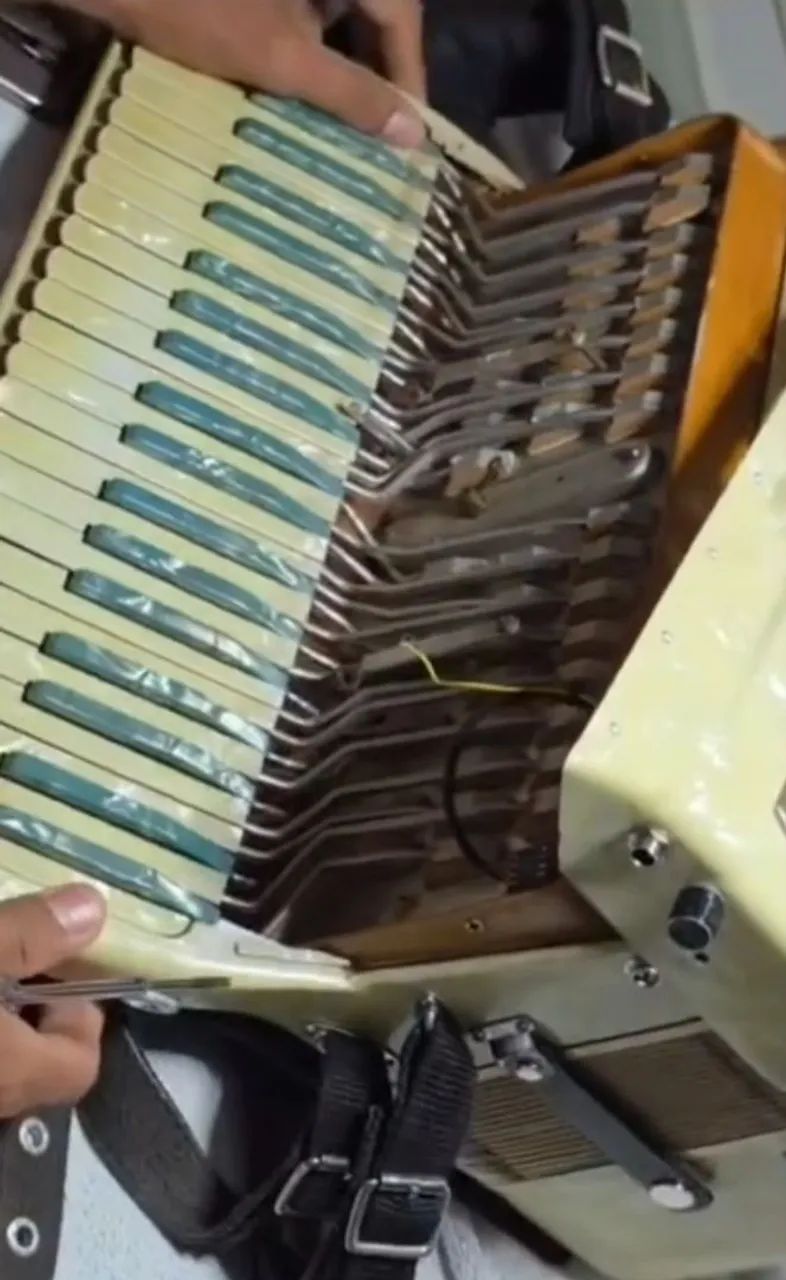 Acordeon Luthier - Juniu Bala - Foto 4