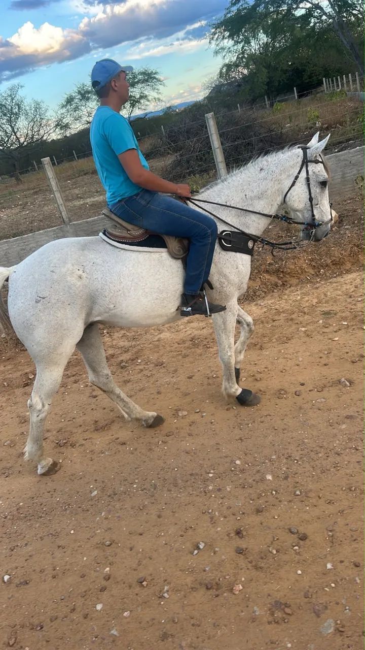 Cavalo de esquerda 
