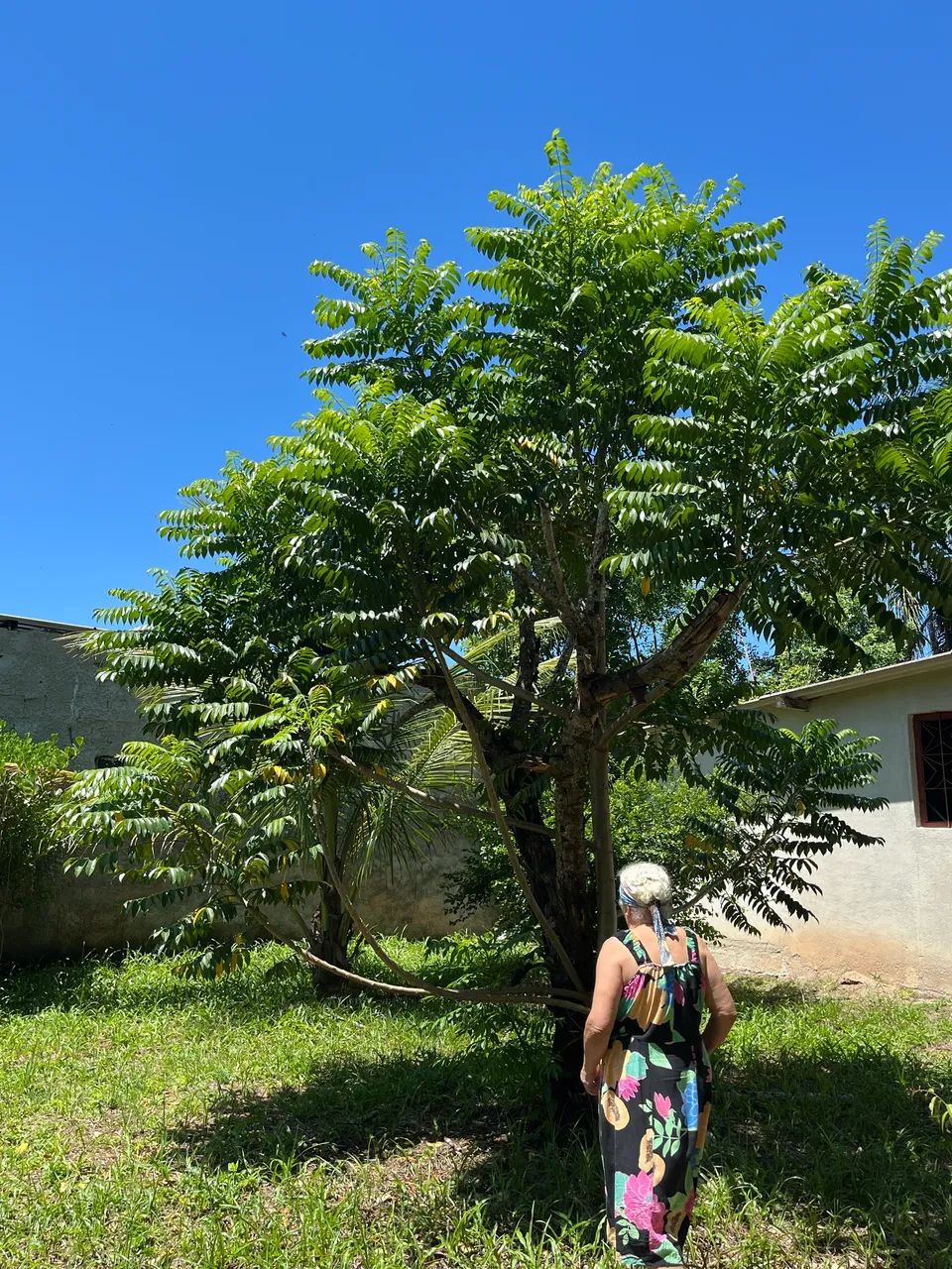 CASA PRONTA + TERRENO - Foto 4