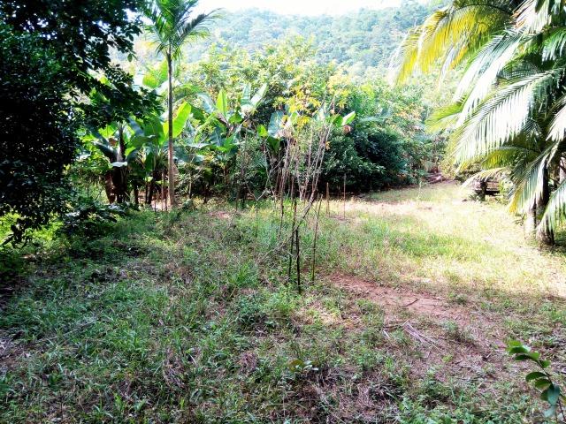 Sítio na cidade de Rodeio, estuda troca por apartamento em Timbó, um verdadeiro recanto - Foto 11