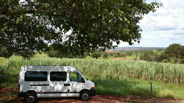 Sitio 5 alqueires formado e todo cercado - Foto 11