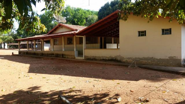 40 Alq. c/ 2 Rios + Cultura. Israelândia-GO. - Foto 14