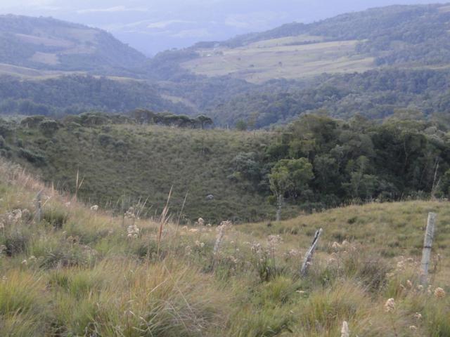 Pense num lugar bonito, sitio 5 hectares a 1000 m de altitude - Foto 11