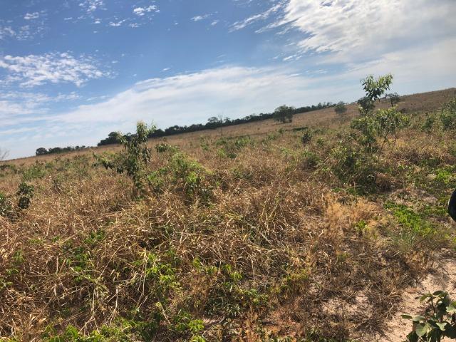 2750 Hectares x Campo Grande,Pecuária e Lavoura,Comodoro-MT Ótimo localização - Foto 2
