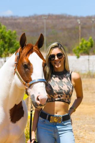 Docilidade, beleza e força em um só animal - Foto 2