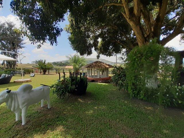Propriedade com 14 hectares em Sairé (Cód.: fvv56) - Foto 17
